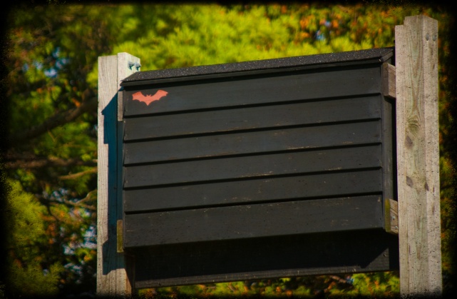 Bat Box - Tolka Rover